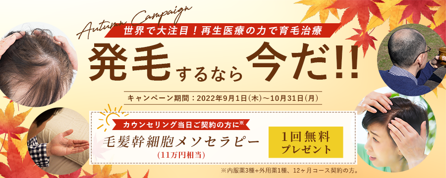 B＆Hトライ